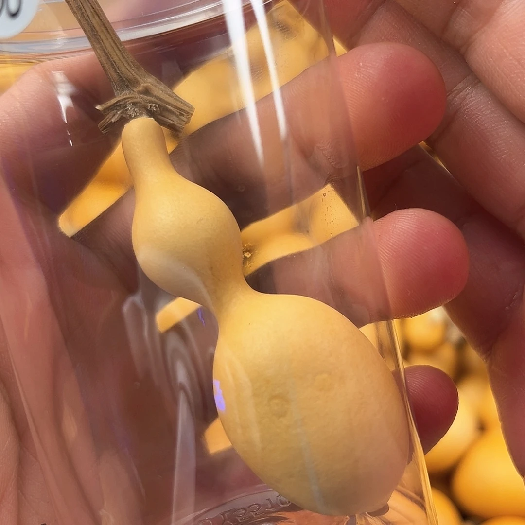四葫芦葫芦葫芦葫芦188