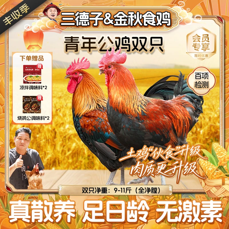 三德子 【青年公鸡】生鲜散养大公鸡生态土鸡散养土鸡 包冰率不含冰