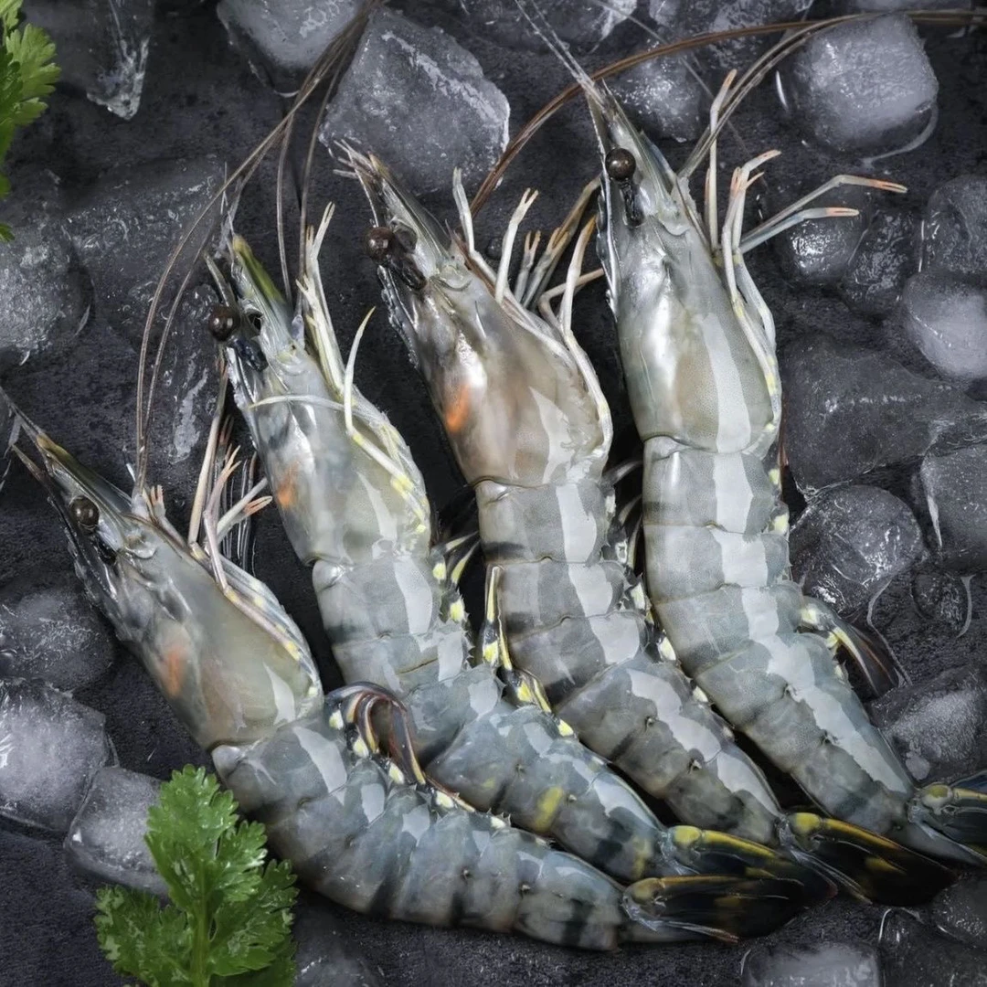 {顺丰发货}本港黑虎虾 海虾 1500g