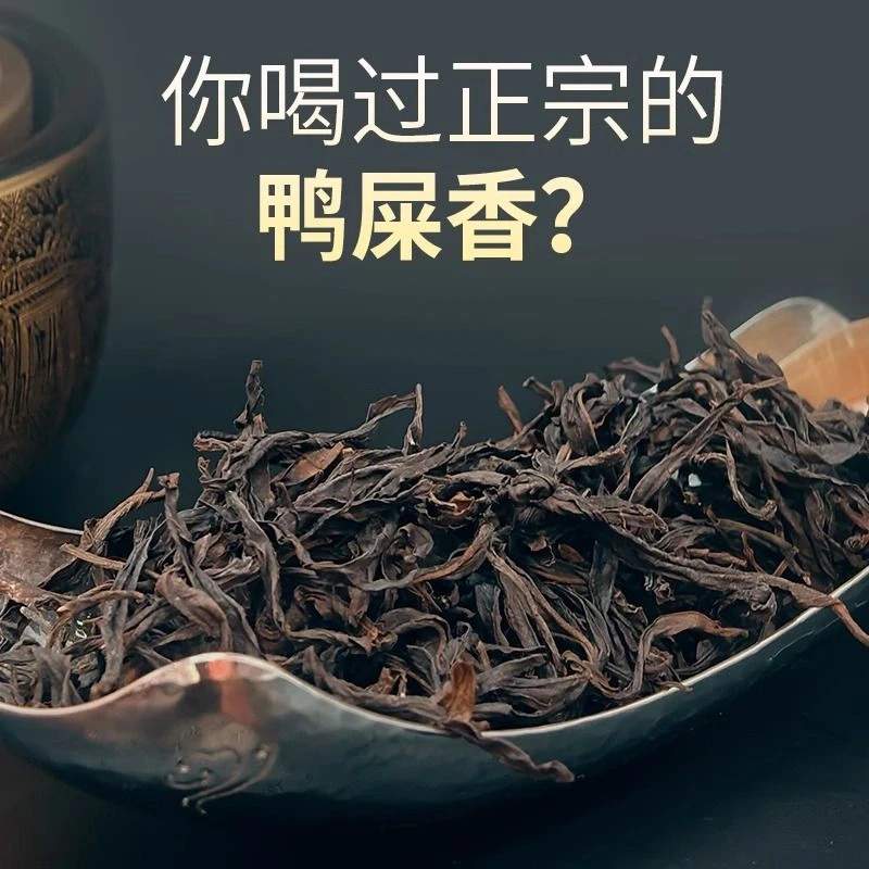 高山凤凰老丛鸭屎香