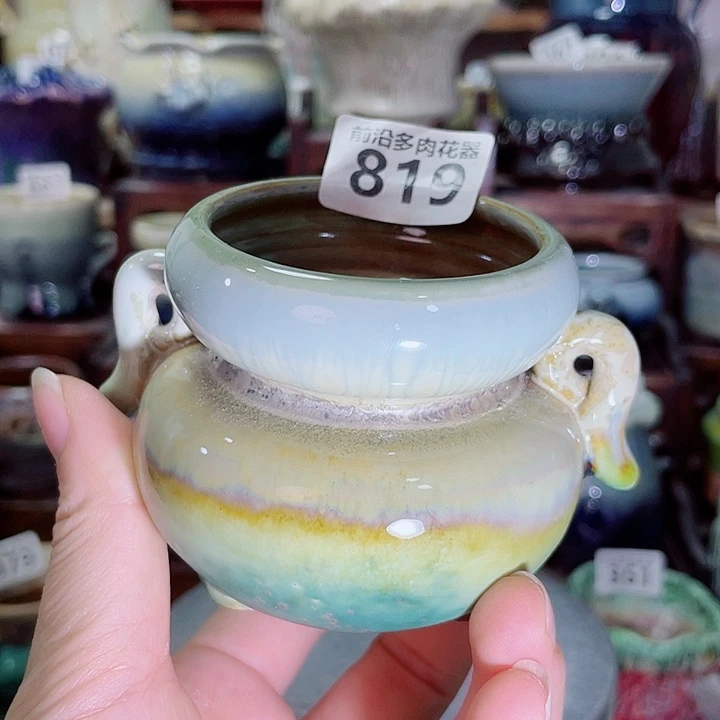 狼盆内口径6高度6