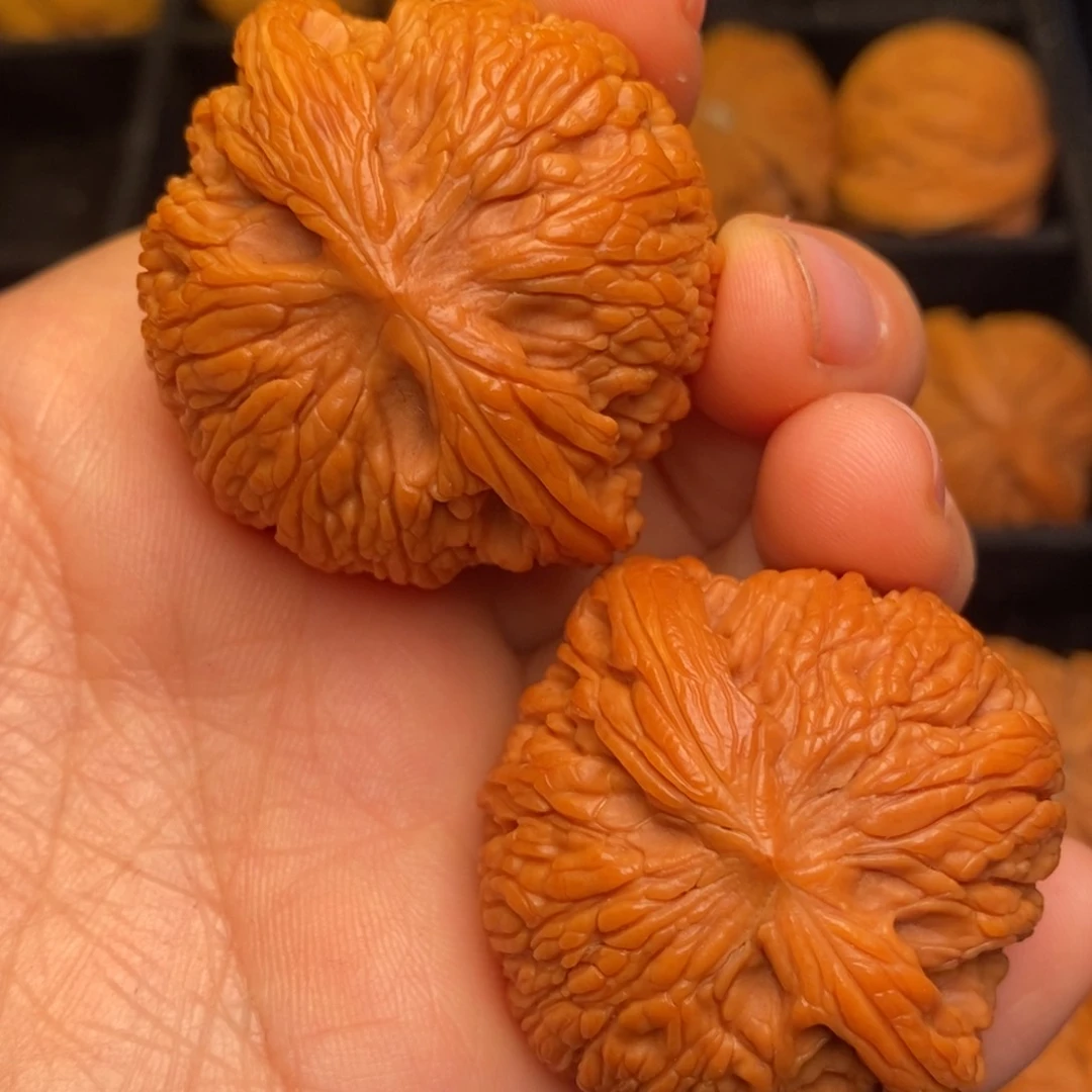 秦岭野生文玩核桃