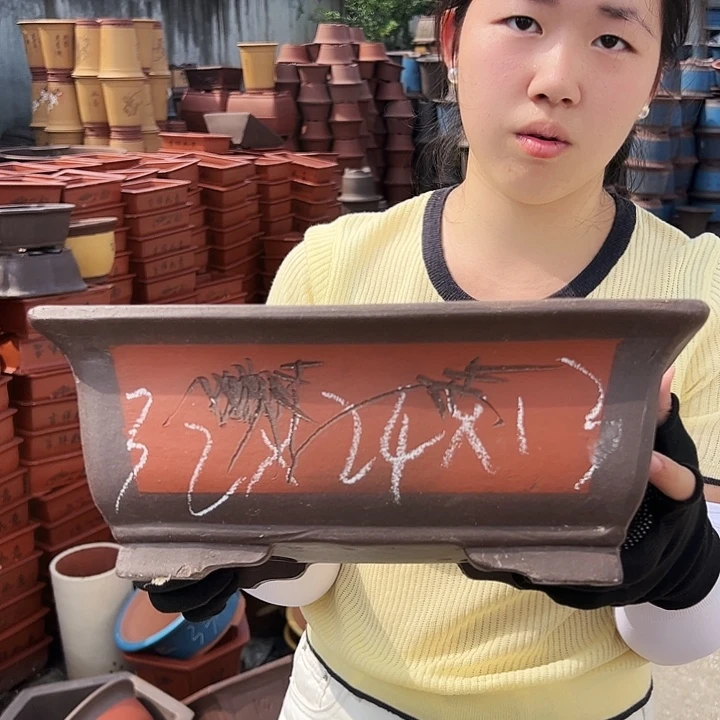 31红马槽花盆花盆花盆