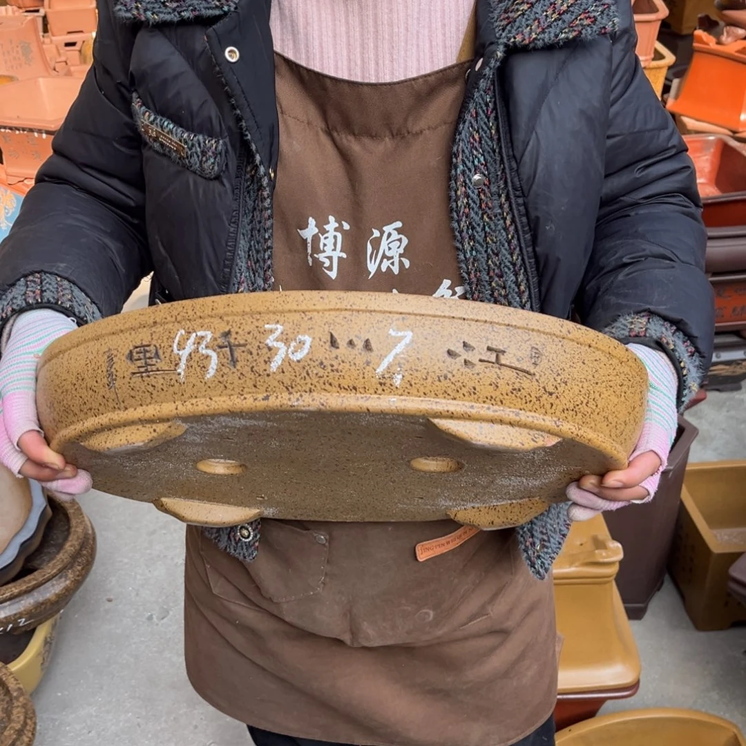 花盆紫砂盆景艺术