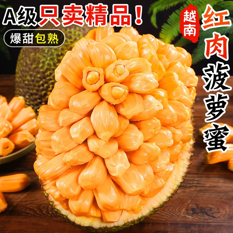 【越南红肉菠萝蜜】正宗菠萝蜜一整个菠萝蜜当季新鲜水果木菠萝