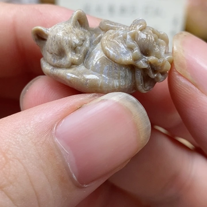 硅化珊瑚（珊瑚玉）未镶嵌颈饰