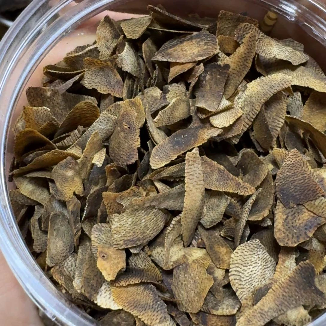 沉香沉香枕海**号白奇切片100克多样性发货