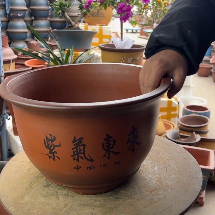 紫砂紫气东来35口径35×21