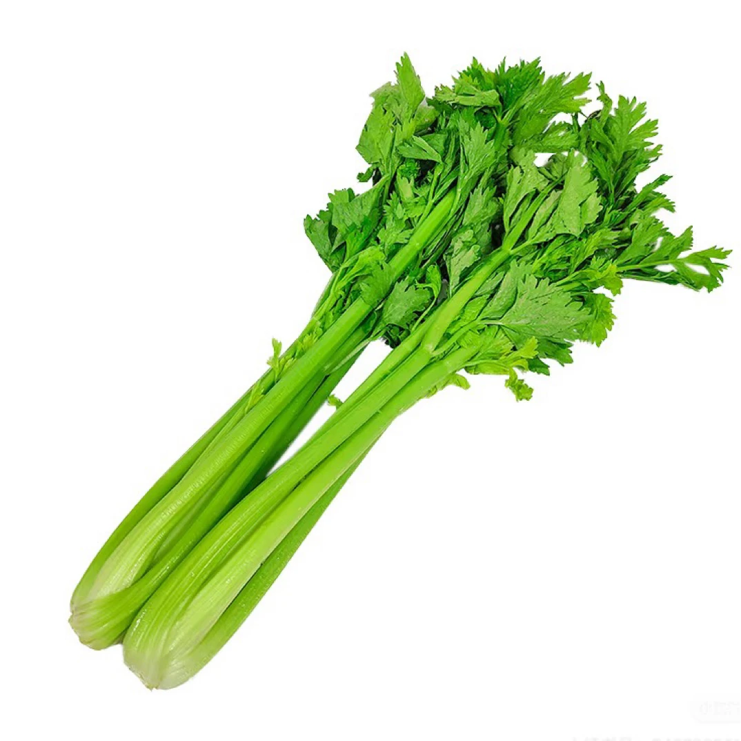 富贵FG  西芹玻璃脆 河南头茬露天西芹5斤装