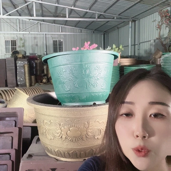 梅花照眼 依然旧风味