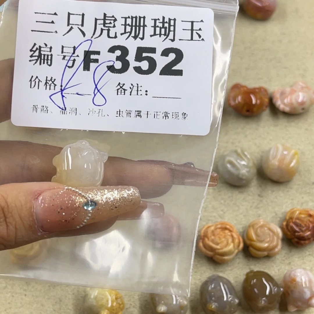 彩***鱼未镶嵌h硅化珊瑚（珊瑚玉）