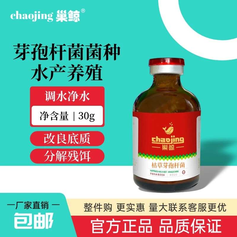 巢鲸芽孢杆菌水产养殖专用菌种鱼虾蟹塘底改调水净水益生菌原粉