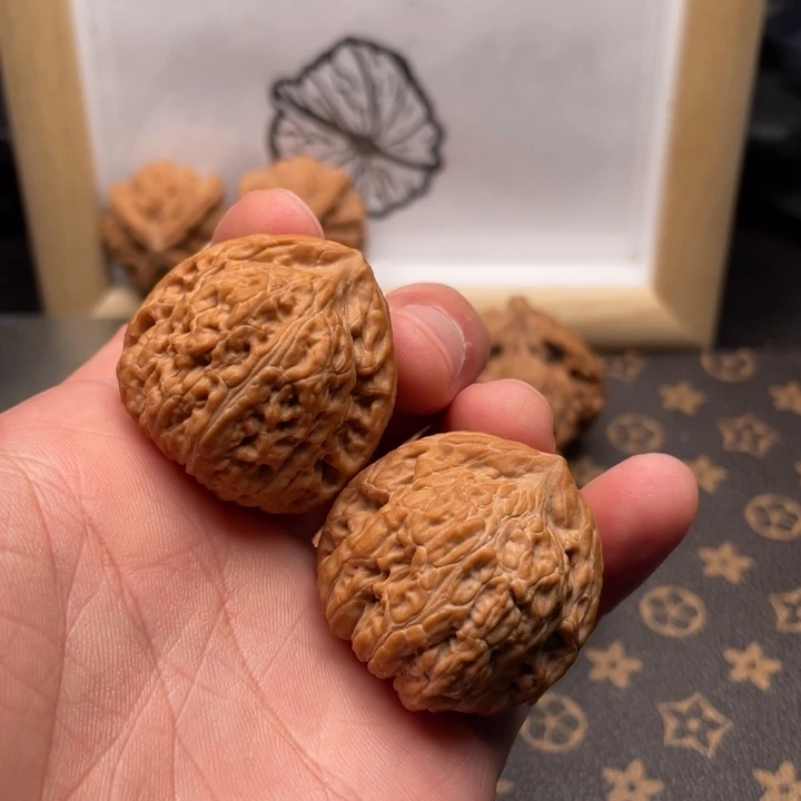 核桃金蝉子文玩核桃