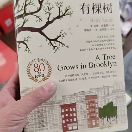 布鲁克林有棵树布鲁克林有棵树