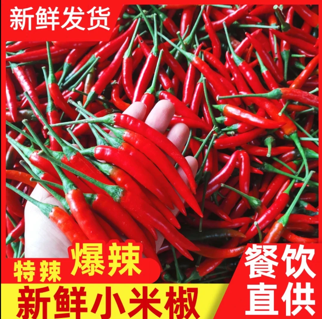 【云南小米辣椒】新鲜现摘农家自种小米辣椒指朝天椒蔬菜泡椒超辣