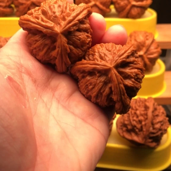核桃核桃核桃核桃核桃核桃