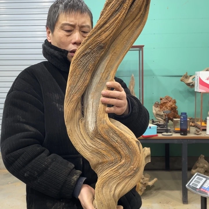 冬**阳我们都是好孩子呀