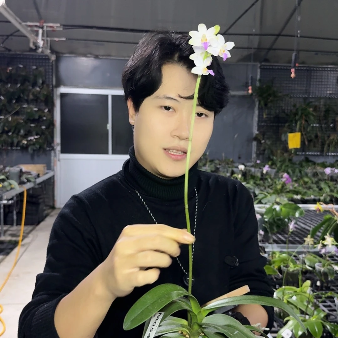 完全开放M054“盈晴小筑”专拍