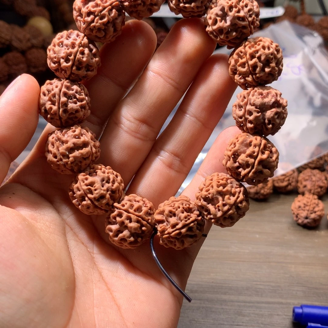 吊坠金刚菩提20尺寸原生态