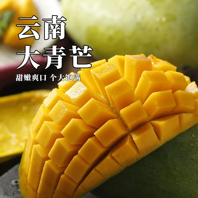 云南大青芒当季新鲜水果青皮芒果产地直发新鲜采摘产地直发