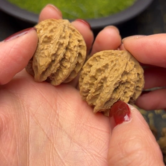 文玩核桃把件秦岭核桃32