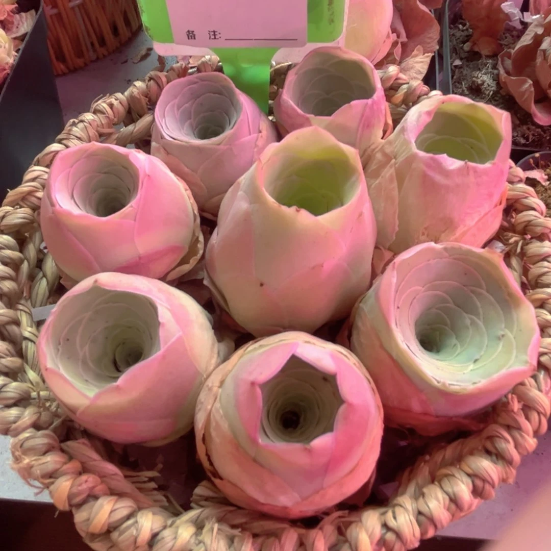 312山地玫瑰一物一拍