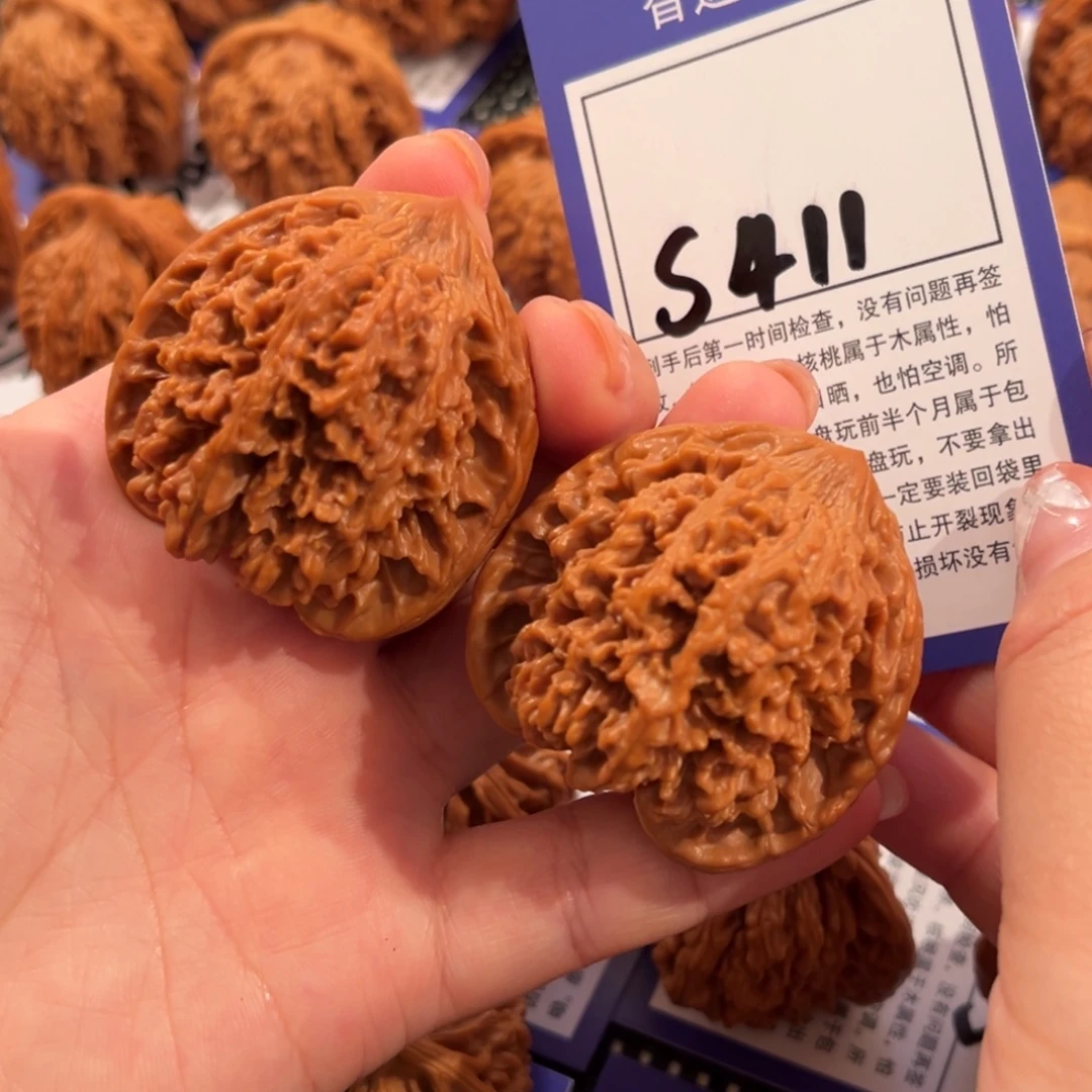 核桃S411号满天星43尺