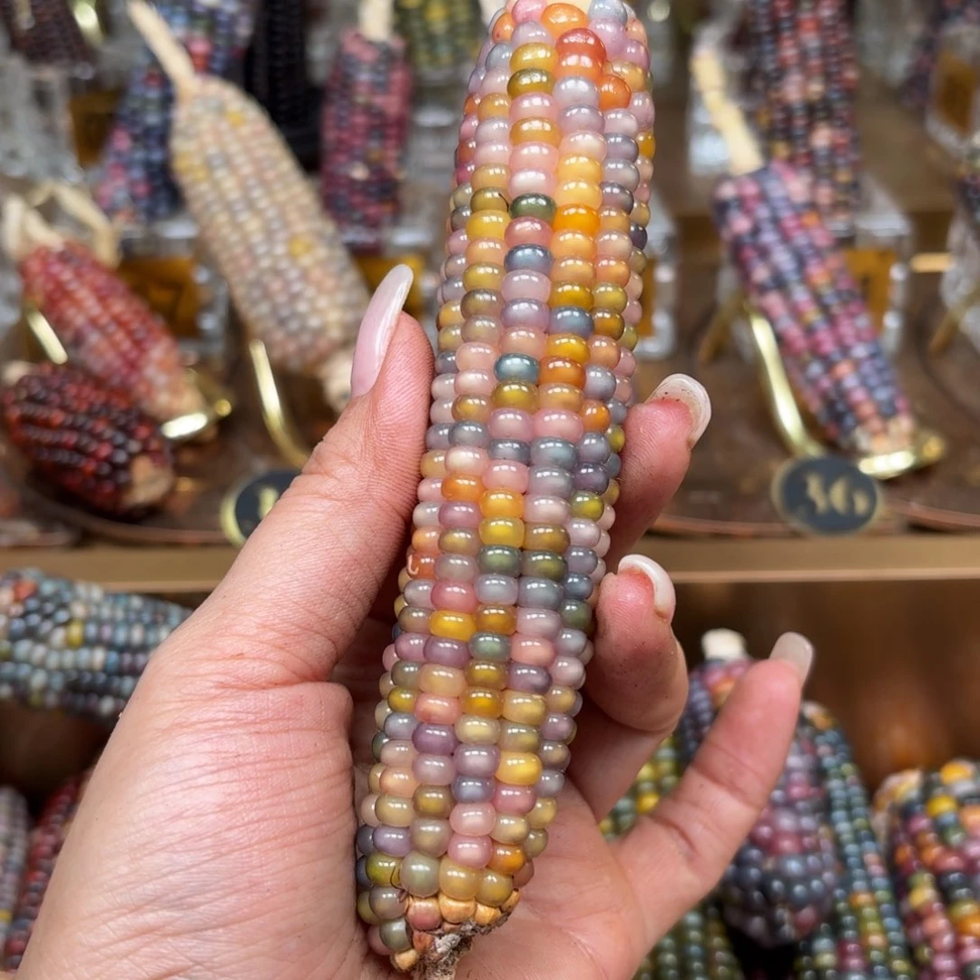 柏香籽/百香籽吊坠呵**哼