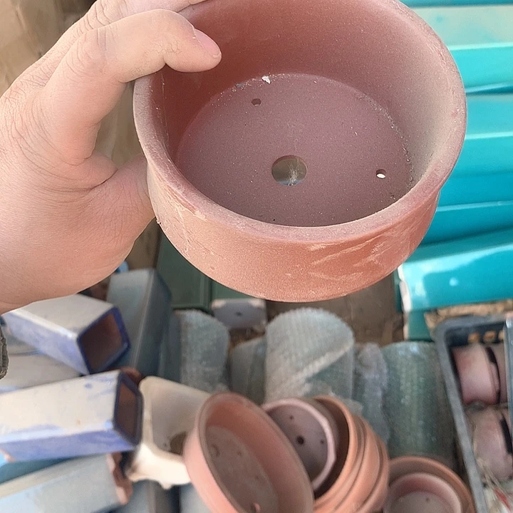 紫砂淘宝的时候看到这个话题都