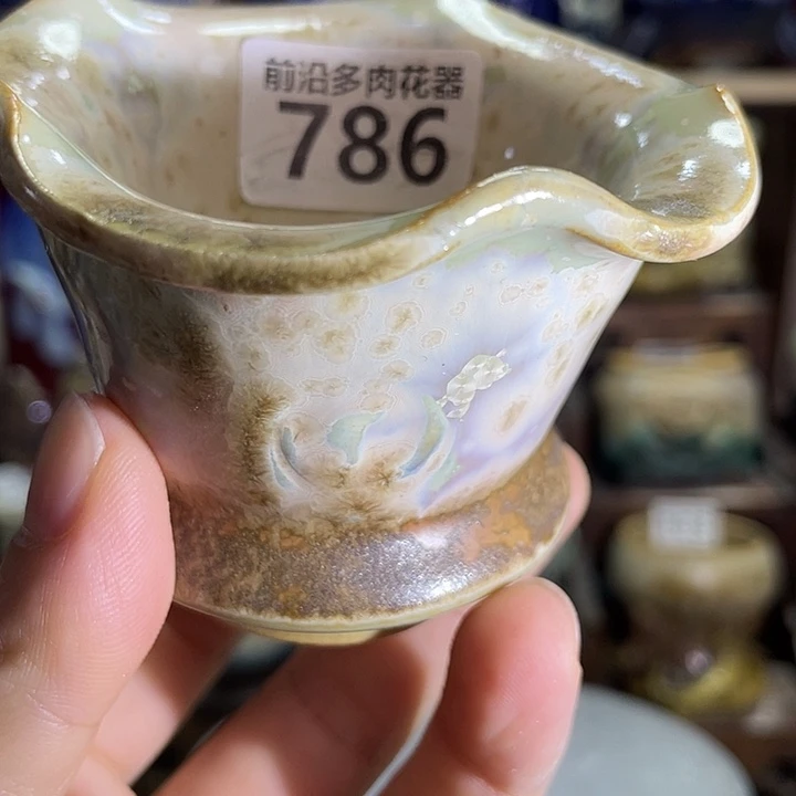 狼盆内口径6高度5