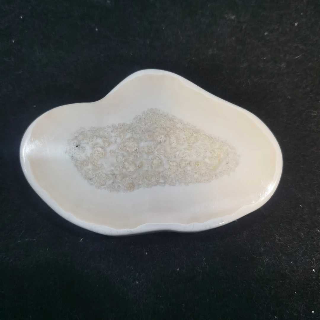 猛犸虬手把件约76.3克TT600