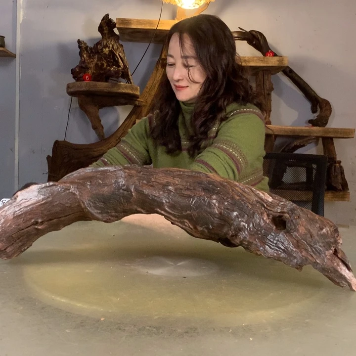 日***王天然的云南紫柚木会黄水