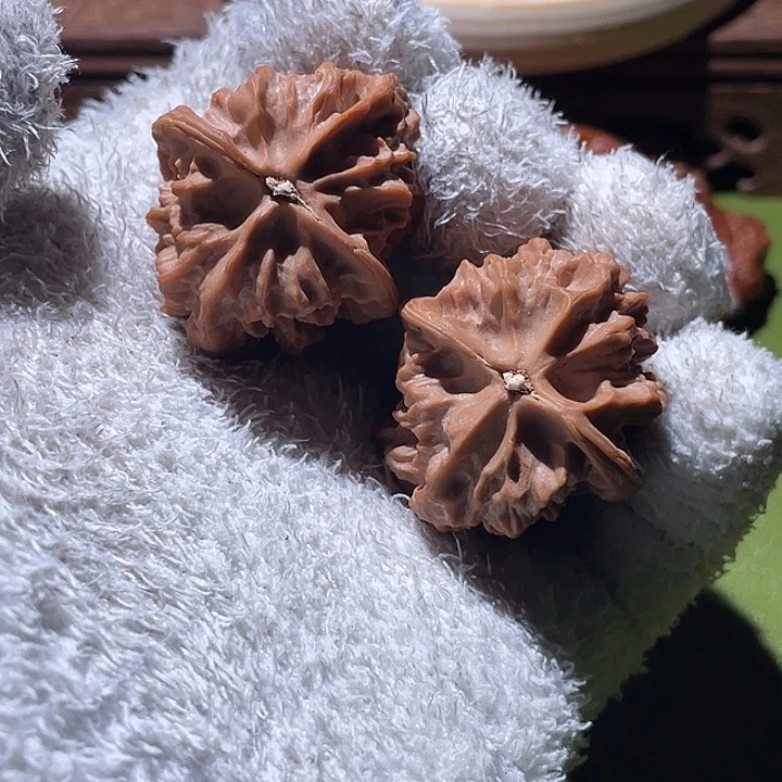 36精配对特点龙骨核桃核桃