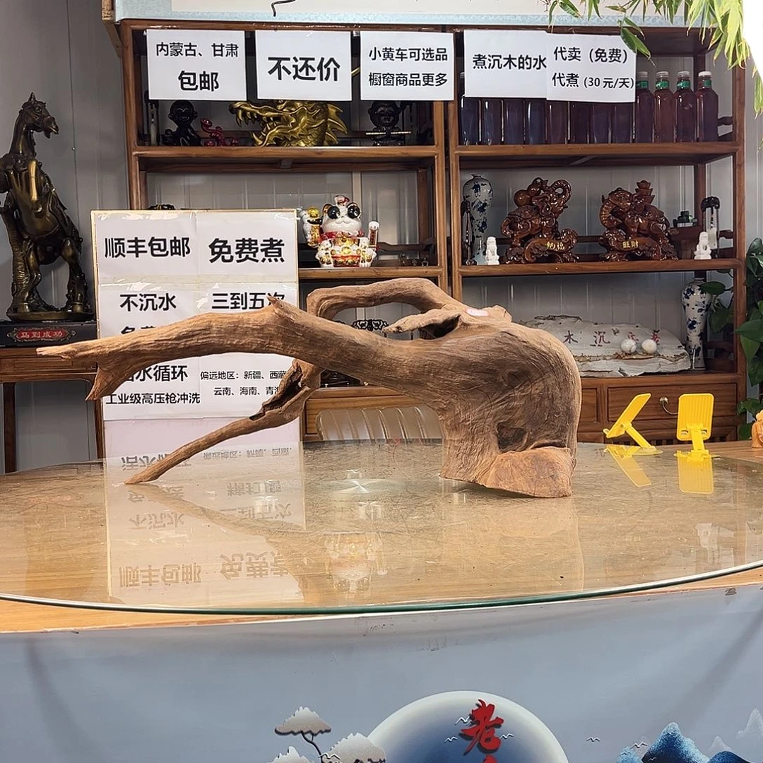 泡***噜紫柚木秒沉水，一木成景