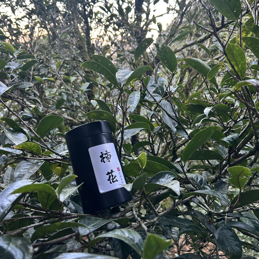 醇香型／自家（杮花单枞茶）小众品种（推荐／高品质