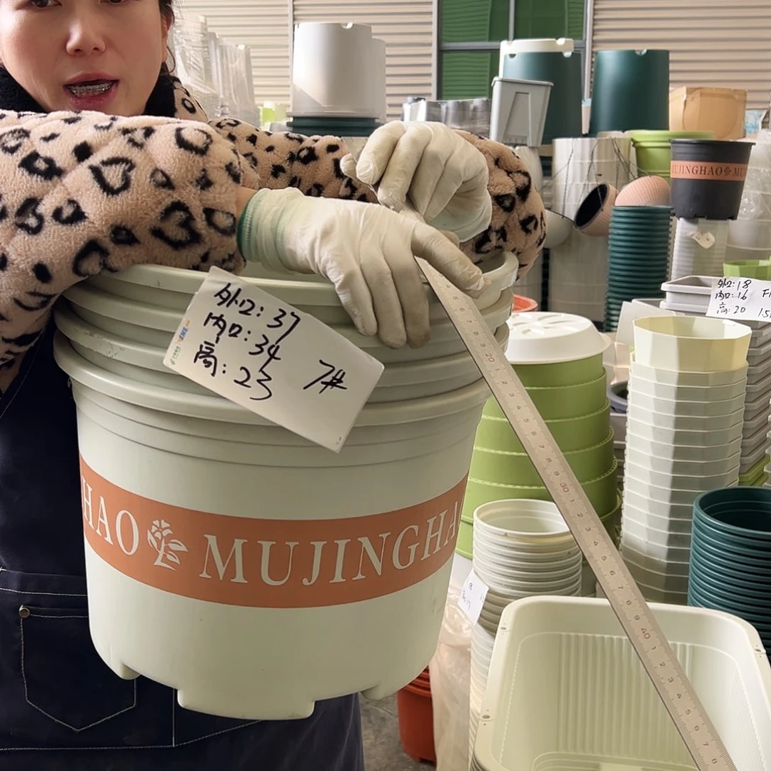 矮胖7#米白4个无托