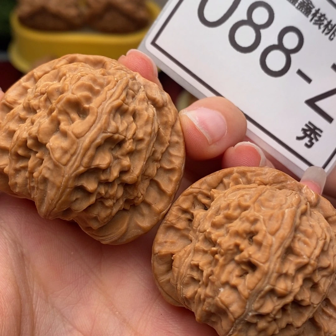 文玩核桃把件白狮子43……