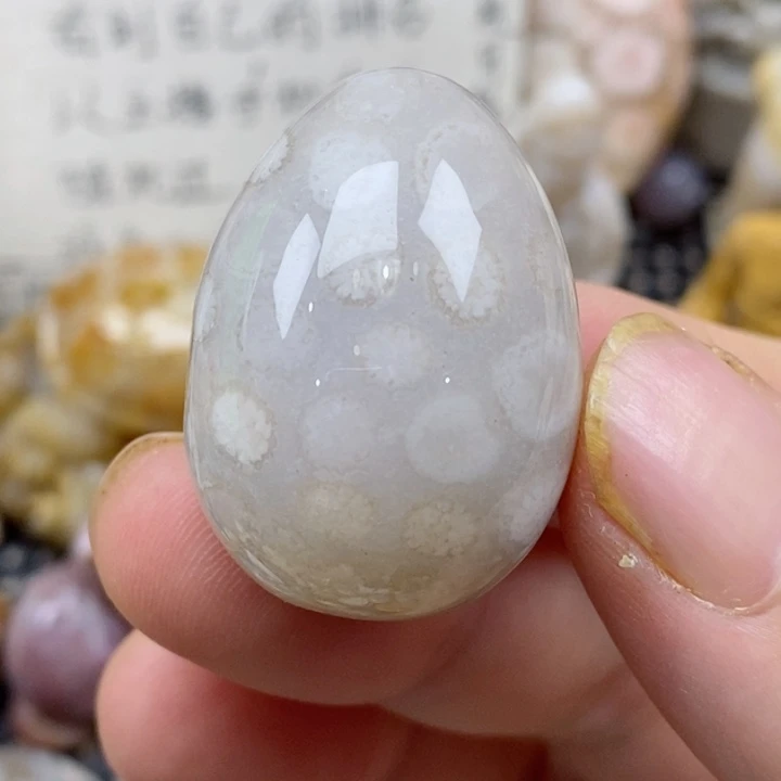 颈饰未镶嵌硅化珊瑚（珊瑚玉）