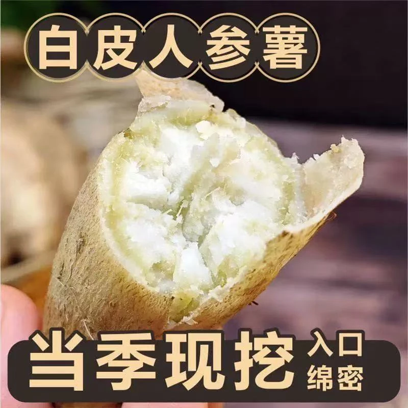 【牛奶人参薯】新鲜现挖奶香人参薯白心红薯 鸡蛋板栗薯粉糯香甜tw1