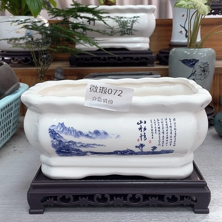 陶瓷花盆抢购福利活动