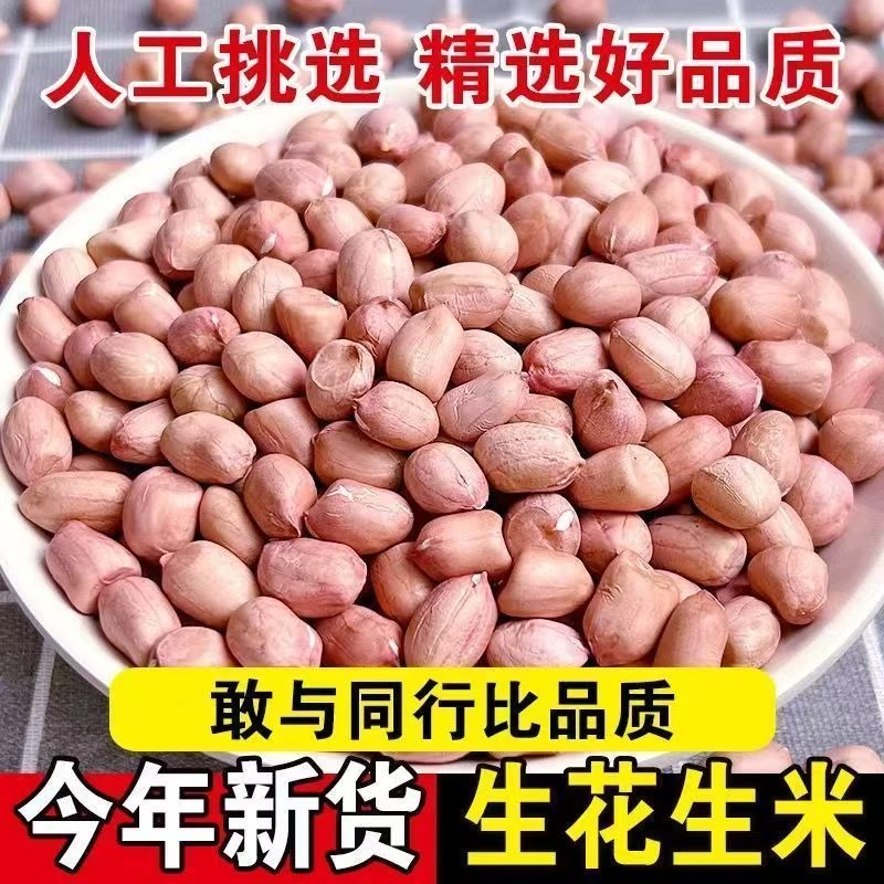 2025年精选人工现剥无壳粉红皮新鲜大粒白沙生花生米可做菜榨油香