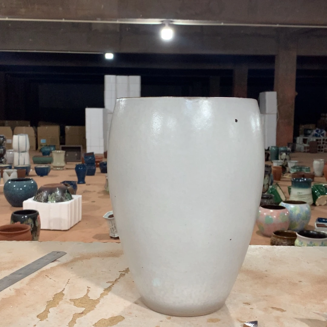 花盆啦啦啦啦啦啦啦啦啦啦