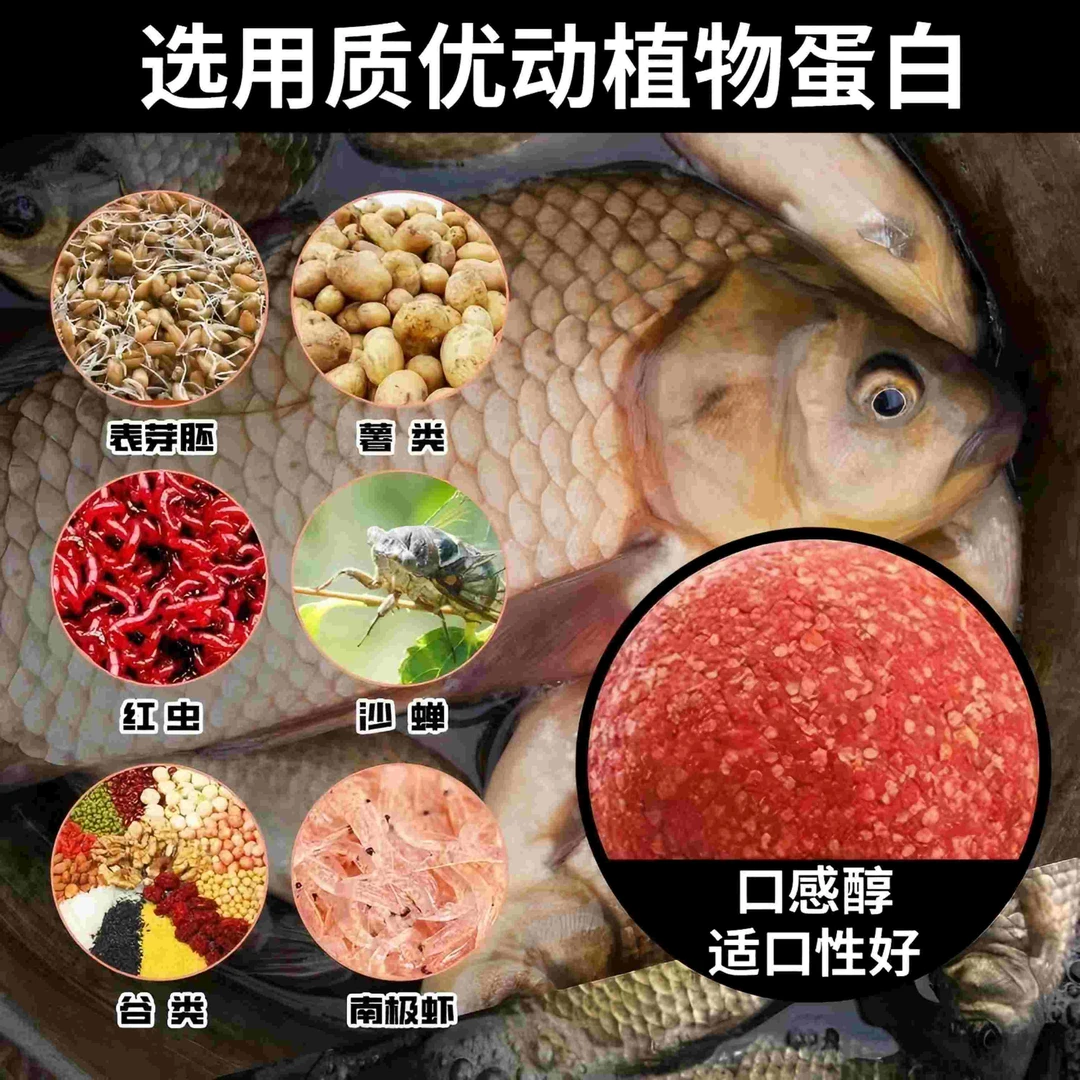 主播同款饵料【拍一发10包】一包搞定饵料腥香饵黑坑江河湖泊通用
