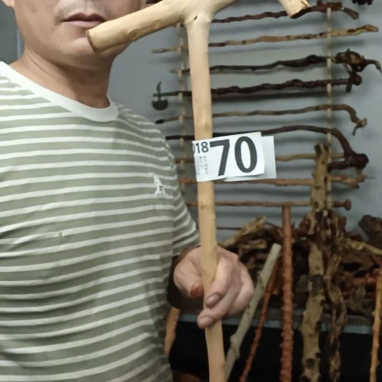 百***我香榧木高山 檬子木文玩料