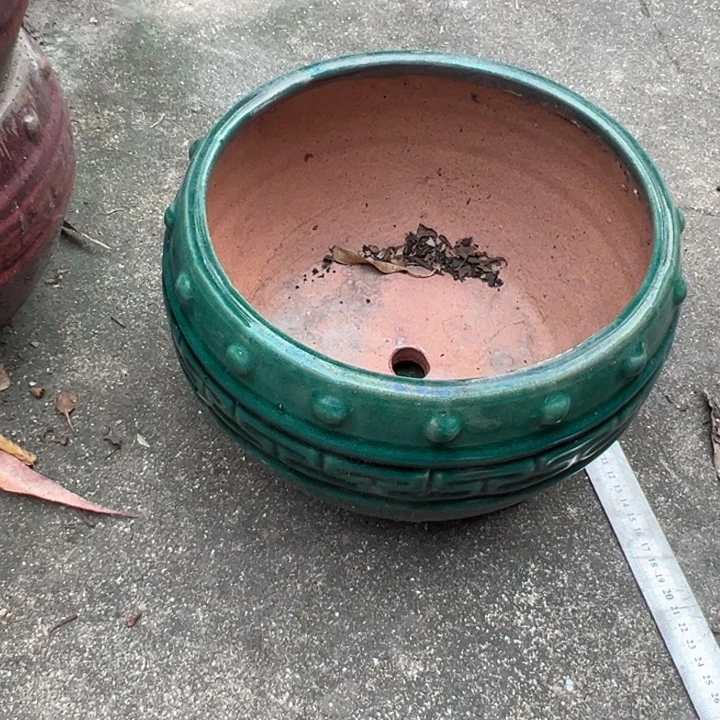 福利优惠一物一拍