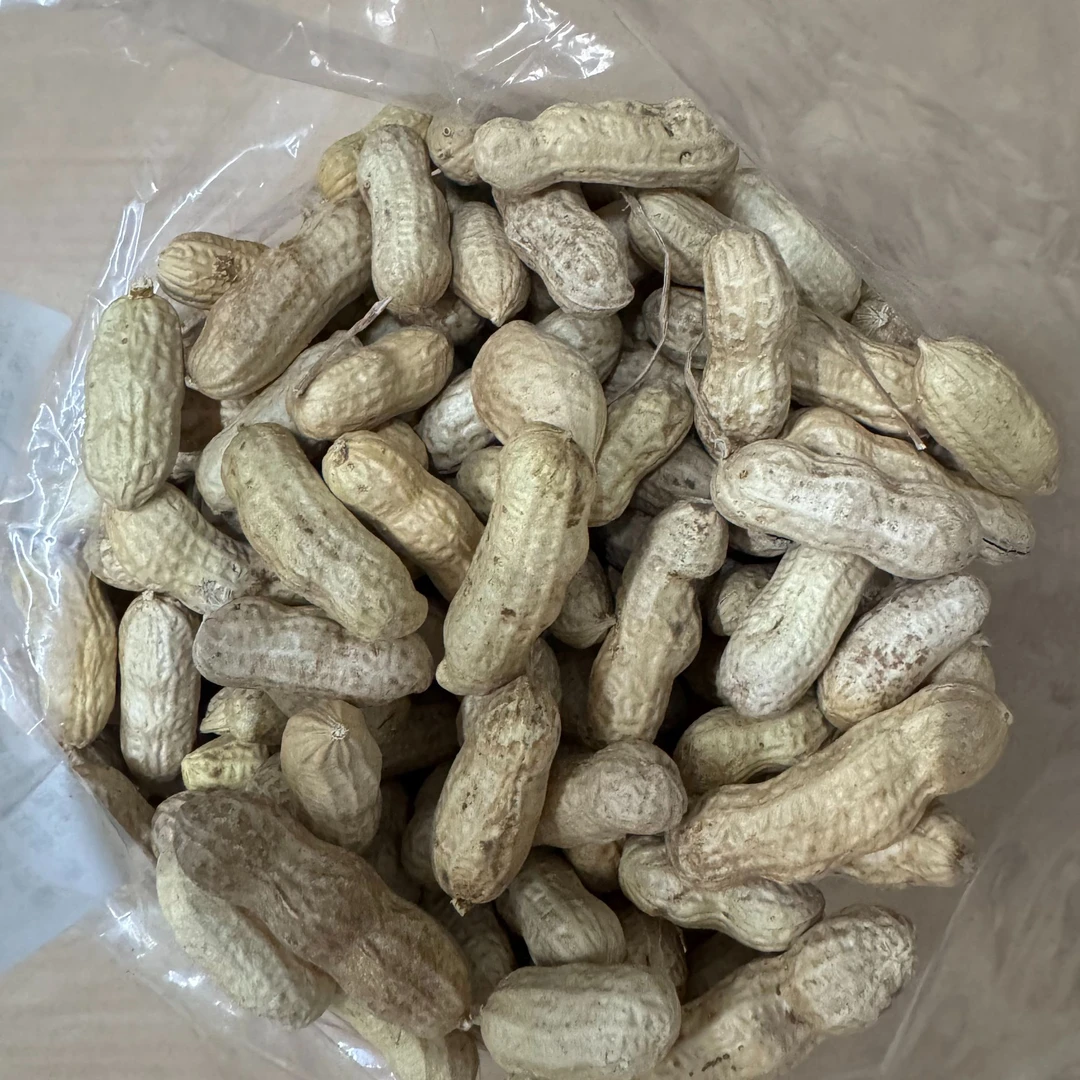 农家晒干生花生带壳红皮花生2斤装