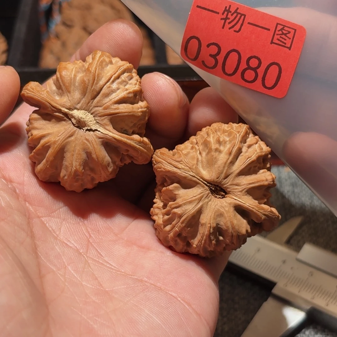文玩核桃把件三角白