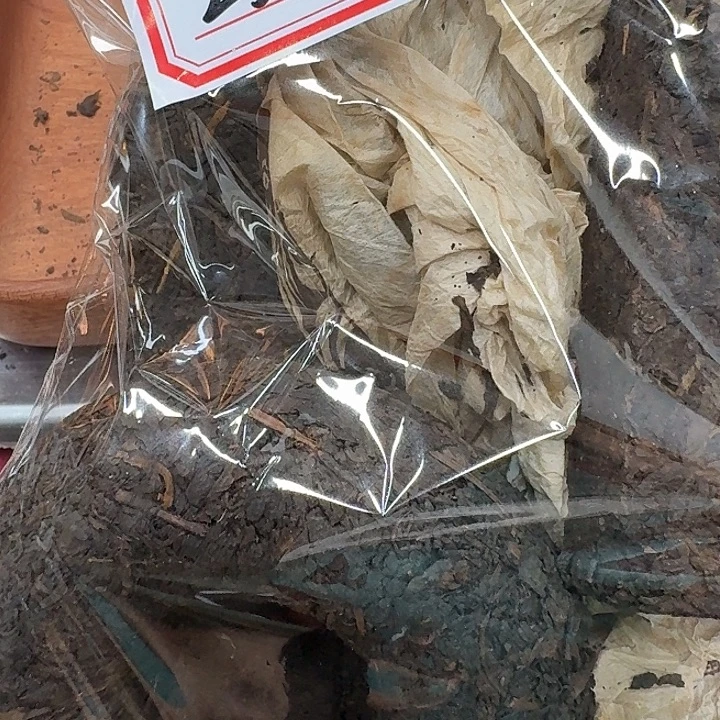 依***望男装品牌设计理念