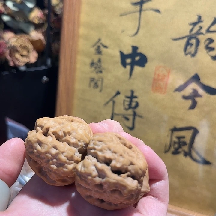 @***赖全品四开背蛤蟆呀