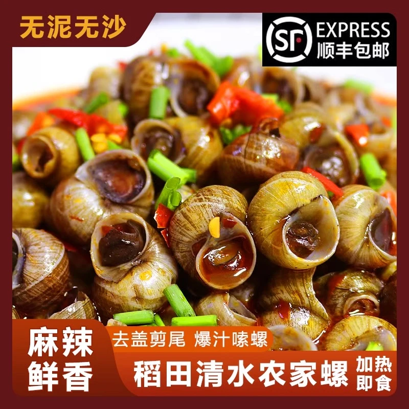 香辣小田螺500g加热即食微辣加辣麻辣田螺肉下酒菜商用洪湖特色